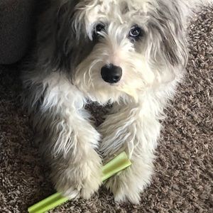 Meet your Posher, Nathan